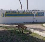 Aruba Golf Club